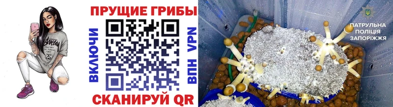 Галлюциногенные грибы мухоморы  наркошоп  Дно 