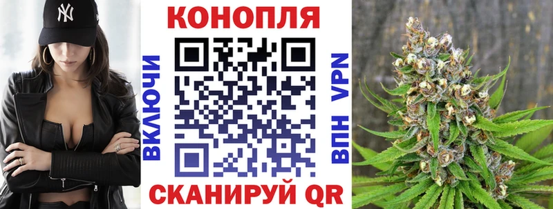 Конопля Bruce Banner цена Дно
